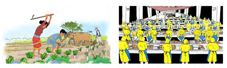 Farmers planting a field by hand, and workers standing in long rows in a factory. Compare how the two groups work.