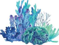 Coral