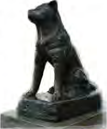 A bronze statue of Hachi stands at Shibuya Station in Japan in honour of his faithfulness and loyalty.