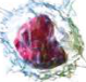 Monocyte: a large non-granular white blood cell.