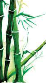 Bamboo is a real flowering plant, so its seeds form inside a fruit