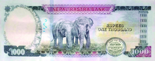 A one-thousand-rupee note of Nepal Rastra Bank, a modern paper currency.