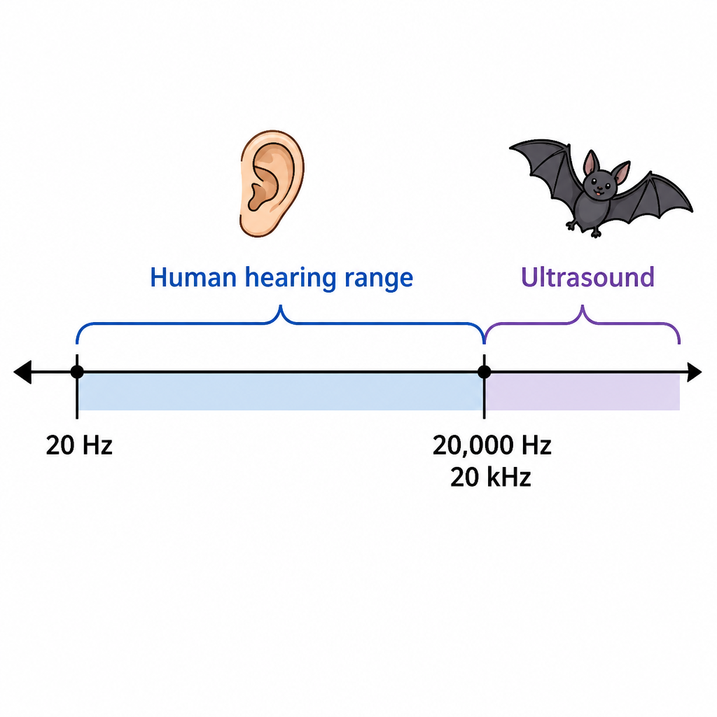 Our ears hear only up to 20,000 Hz. Sound above that limit is ultrasound.