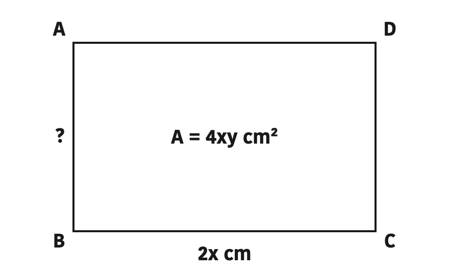 A rectangle showing that when the area and one side are known, the other side comes from a division.