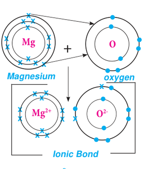 Both of magnesium's outer electrons move to oxygen, leaving Mg²⁺ and O²⁻ each with eight electrons in the outer shell.