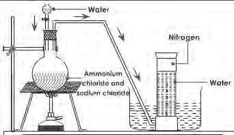 Apparatus setup for the laboratory preparation of nitrogen gas: a solution of sodium nitrite and ammonium chloride is heated in the flask, and nitrogen collects over water in the gas jar.