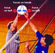 At the net, both players' hands push on the ball while the ball pushes back on both pairs of hands with equal force.