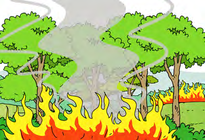 The forest fire spreads closer and closer to the baby quail's nest.