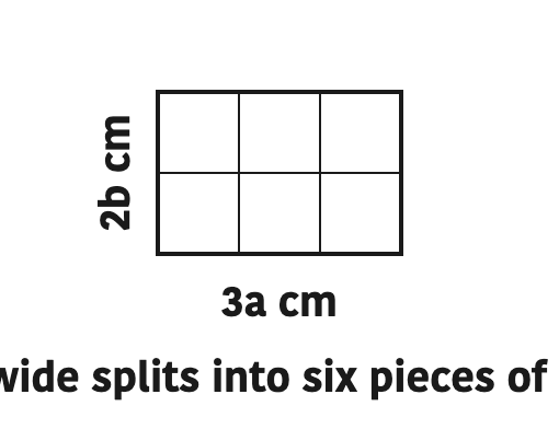 A rectangle \( 3a \) cm long and \( 2b \) cm wide splits into six pieces of \( ab \) cm², which is why \( 3a \times 2b = 6ab \).
