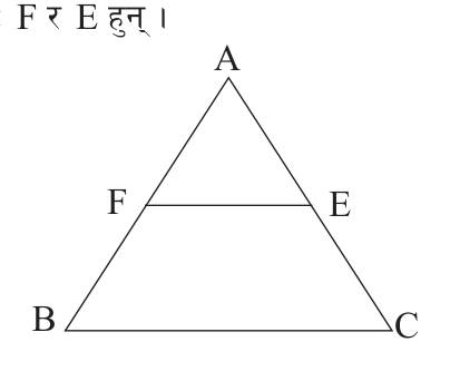 F is the mid-point of AB and E is the mid-point of AC, so the segment FE lies parallel to BC.